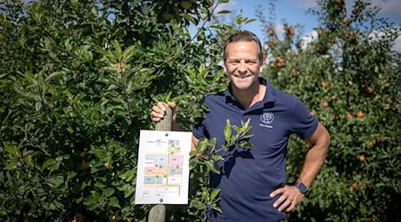 Axel Schuback öffnete Anfang der 2000er Jahre seine Plantage für Patenschaften. / Foto: Sina Schuldt/dpa