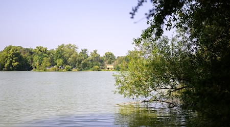 Blick auf den Großen Teich der Ricklinger Kiesteiche. Die Region Hannover hat für das Gewässer wegen erhöhter Konzentration von Blaualgen ein Badeverbot ausgesprochen. / Foto: Julian Stratenschulte/dpa