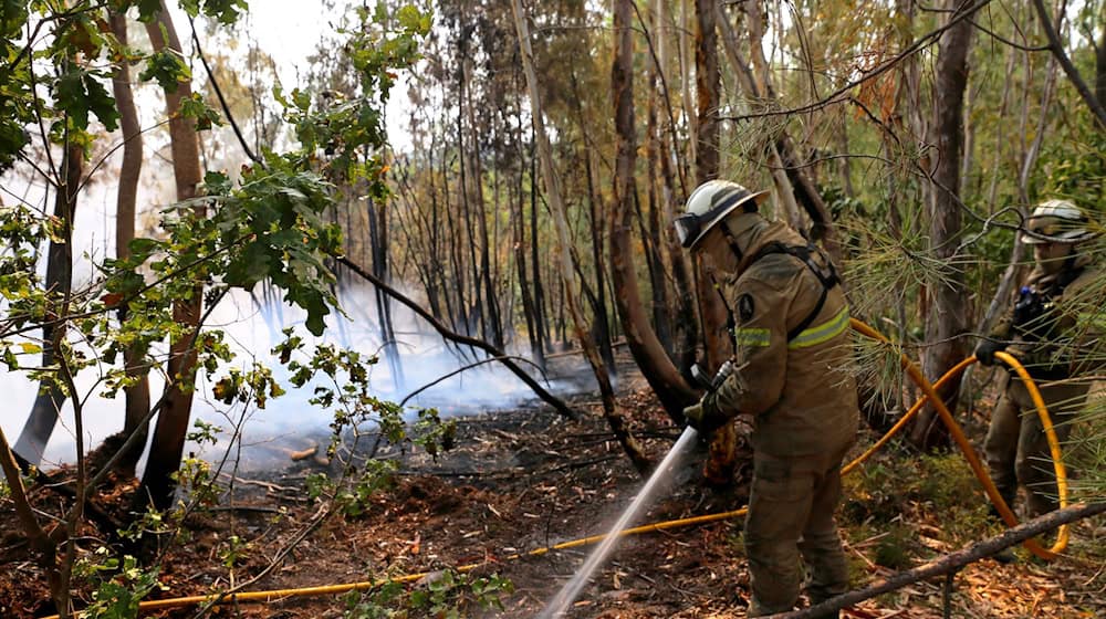 In Portugal gibt es eine leichte Entspannung bei den schweren Waldbränden. Noch aber sind rund 1.400 Feuerwehrleute im Einsatz. / Foto: Xun Wei/XinHua/dpa