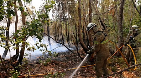 In Portugal gibt es eine leichte Entspannung bei den schweren Waldbränden. Noch aber sind rund 1.400 Feuerwehrleute im Einsatz. / Foto: Xun Wei/XinHua/dpa