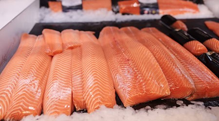 Lachs war auch 2024 der beliebteste Fisch der Deutschen. (Archivbild)  / Foto: Christian Charisius/dpa