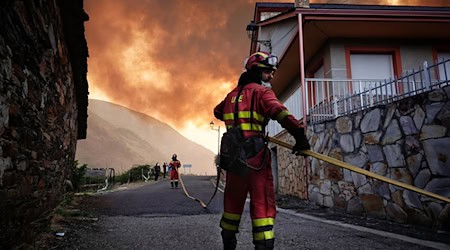 Während sich die Lage bei den Waldbränden in Spanien insgesamt leicht zu entspannen beginnt, wüten vor allem in Kastilien und León sowie in Galicien noch immer gefährliche Feuer. / Foto: Xuan Cueto/EUROPA PRESS/dpa