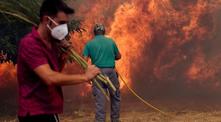 Einwohner kämpfen gegen ein Feuer, das sich auf das Dorf Rebordondo in der Nähe von Ourense im Nordwesten Spaniens ausbreitet.  / Foto: Pablo Garcia/AP/dpa