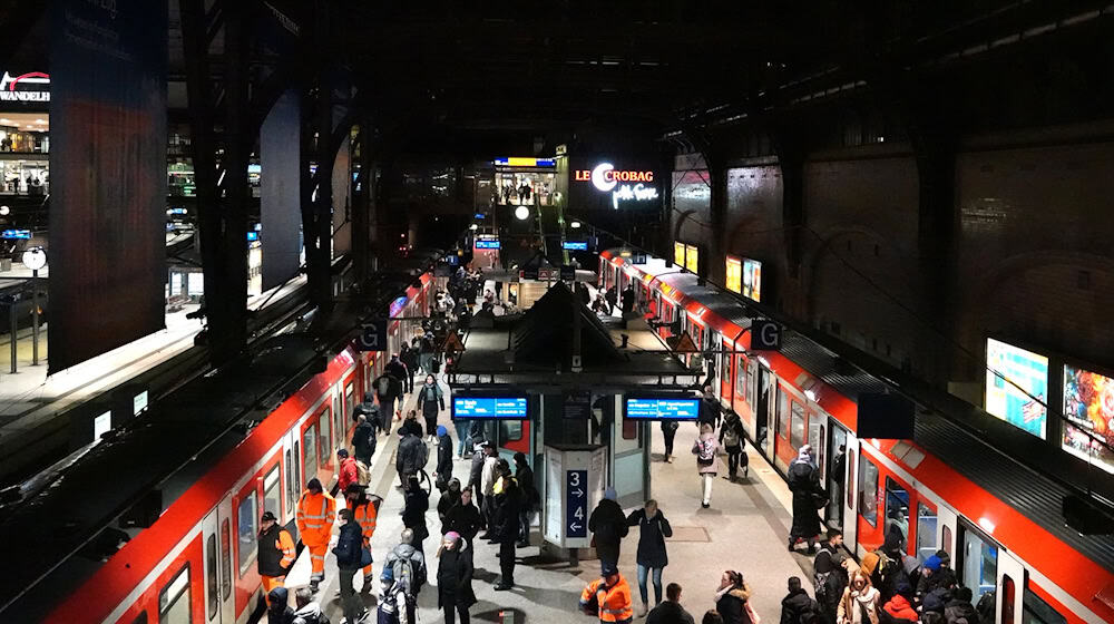 Die Bahn empfiehlt während der Sperrung auf U-Bahnen oder Regionalzüge auszuweichen. (Archivbild) / Foto: Rabea Gruber/dpa