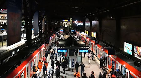 Die Bahn empfiehlt während der Sperrung auf U-Bahnen oder Regionalzüge auszuweichen. (Archivbild) / Foto: Rabea Gruber/dpa