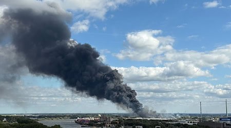 Im Hamburger Hafen ist ein Feuer ausgebrochen.  / Foto: Daniel Bockwoldt/dpa