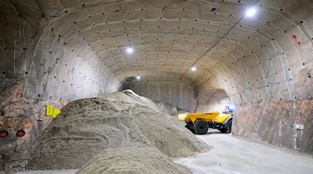Es gibt Pläne für einen Energiepark. (Archivbild) / Foto: Philipp Schulze/dpa Pool/dpa