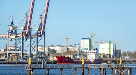 Nach der Bergung eines verunglückten Baggerschiffs im Braker Hafen  wird es nun technisch begutachtet. (Archivfoto) / Foto: Sina Schuldt/dpa