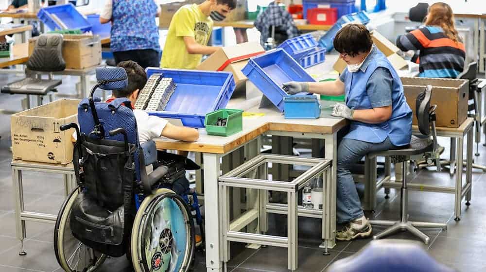 Das Durchschnittseinkommen von Menschen mit Behinderung in Werkstätten liegt in Bremen und Niedersachsen bei 258 Euro monatlich. (Symbolbild) / Foto: Jan Woitas/dpa-Zentralbild/dpa