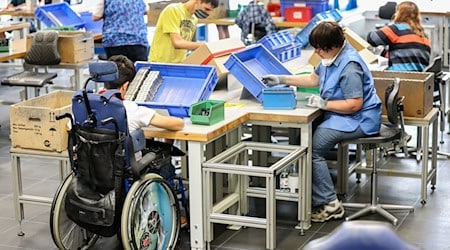 Das Durchschnittseinkommen von Menschen mit Behinderung in Werkstätten liegt in Bremen und Niedersachsen bei 258 Euro monatlich. (Symbolbild) / Foto: Jan Woitas/dpa-Zentralbild/dpa