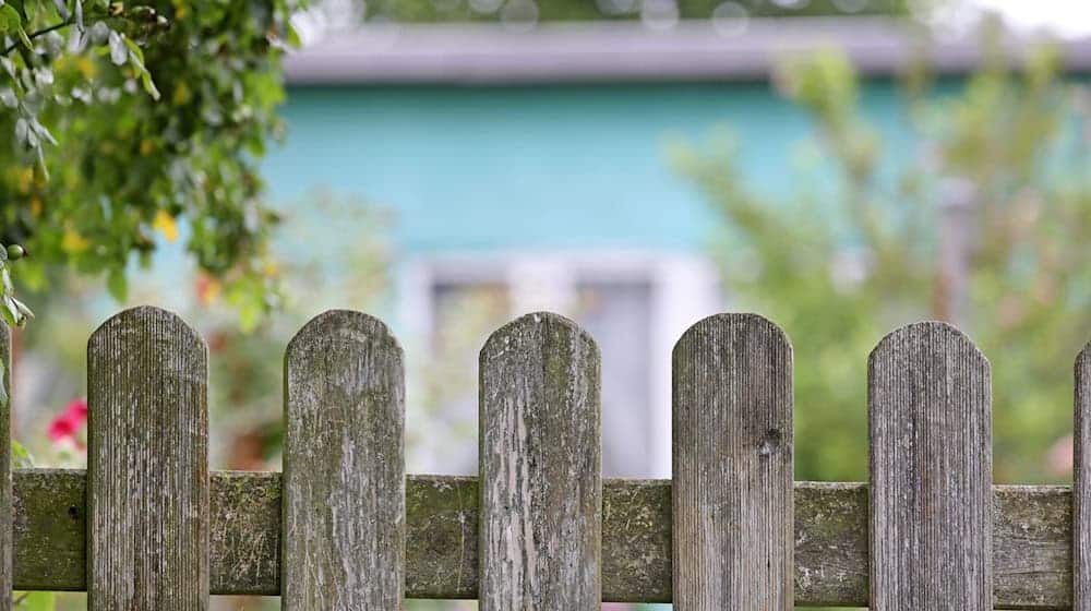 Nachbarschaftsstreit? Wo der Zaun wackelt, kann das Schiedsamt helfen. (Symbolbild) / Foto: Bernd Wüstneck/dpa-Zentralbild/dpa