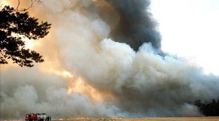 Eine große Trockenheit begünstigte die Waldbrände. (Archivbild) / Foto: picture alliance / dpa