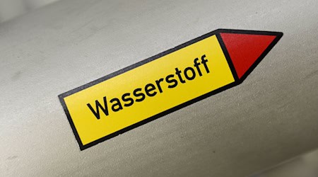 Das Land Niedersachsen fördert die Erforschung von Wasserstofftechnologien. (Symbolbild)  / Foto: Hermann Pentermann/dpa