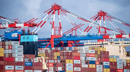 In Wilhelmshaven wurde die Menge der umgeschlagenen Container mehr als verdoppelt. (Archivbild) / Foto: Sina Schuldt/dpa
