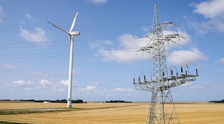 Im Norden ist die Windstromproduktion in den vergangenen Jahren stark ausgebaut worden. (Symbolbild) / Foto: Frank Molter/dpa