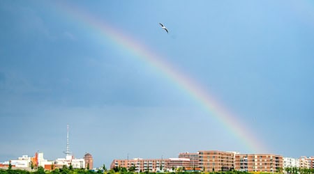 Die Jungen und Mädchen hatten die Flasche in der Bremer Überseestadt auf die Reise geschickt. (Symbolbild) / Foto: Sina Schuldt/dpa