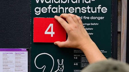 Der vielen Regentage im Juli haben die Waldböden dringend gebraucht - aber es war noch nicht genug.  (Archivbild) / Foto: Philipp Schulze/dpa
