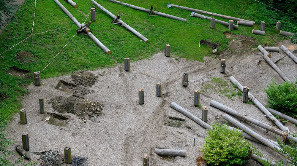 Gleich neben dem Baumwipfelpfad in Bad Harburg soll auf der Fläche des ehemaligen Hochseilgartens in luftiger Höhe die sogenannte Wipfel-Erlebnis-Welt mit Freifalltürmen entstehen.  / Foto: Swen Pförtner/dpa