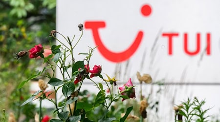Rosige Aussichten für Tui: Das Geschäft mit Hotels und Kreuzfahrten brummt. (Archivbild) / Foto: Julian Stratenschulte/dpa
