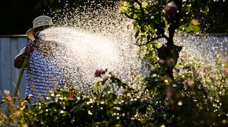 Ohne Wasser wächst nichts: Der Klimawandel stellt auch Niedersachsen vor die Frage, wie die Ressource in Zukunft gesichert werden kann. (Symbolbild) / Foto: Julian Stratenschulte/dpa