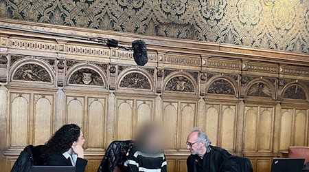 Die Millionendiebin muss für mehrere Jahre ins Gefängnis. (Archivfoto) / Foto: Helen Hoffmann/dpa