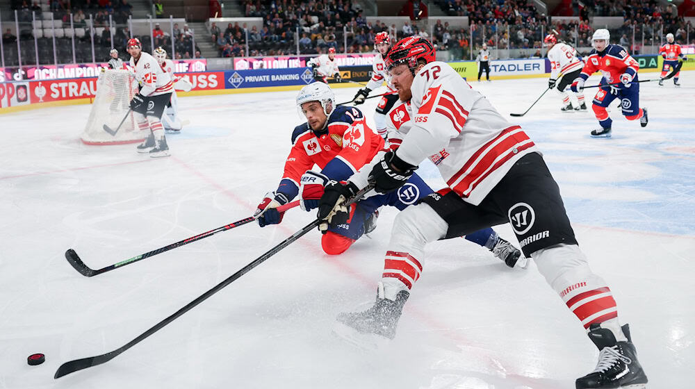Die Pinguins Bremerhaven in der Champions League. / Foto: Christian Merz/KEYSTONE/dpa