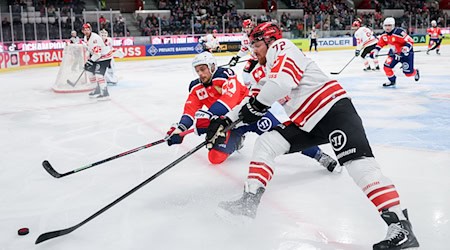 Die Pinguins Bremerhaven in der Champions League. / Foto: Christian Merz/KEYSTONE/dpa