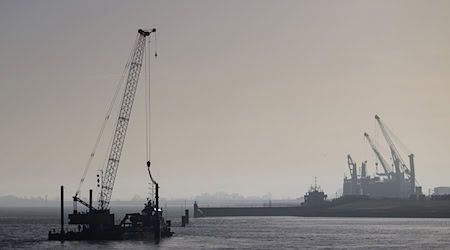 Durch Rammschläge auch an Sonntagen sollen im Hafen von Cuxhaven neue Terminalflächen entstehen. (Archivbild) / Foto: Philipp Schulze/dpa