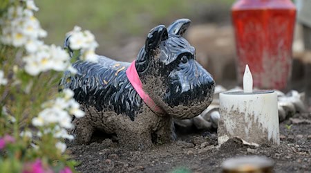 In Bremen gibt es künftig die Möglichkeit für Mensch-Haustier-Grabstätten. (Symbolbild) / Foto: Ralf Hirschberger/dpa-Zentralbild/dpa