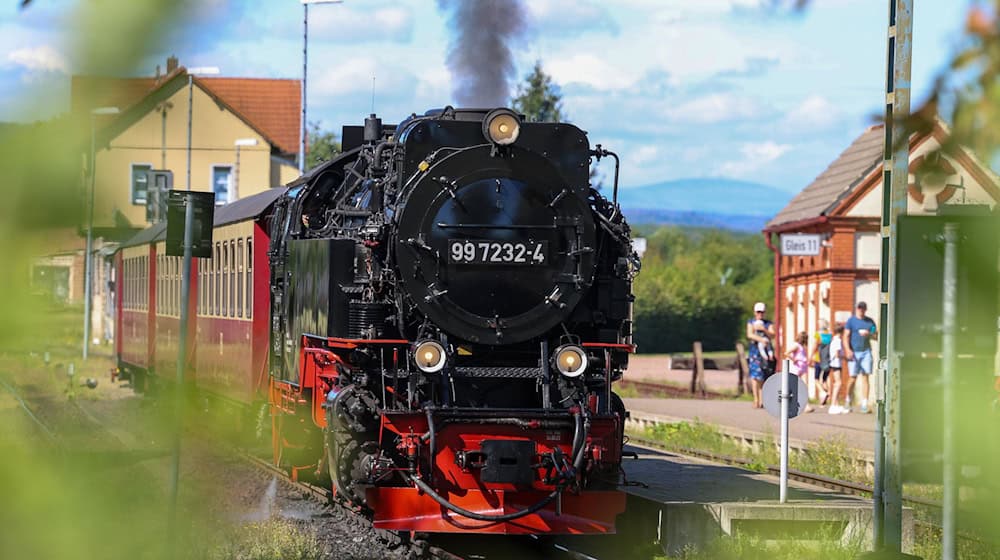 Der reguläre Betrieb auf der Selketalbahn sollte laut Gutachten nicht fortgeführt werden. (Archivbild) / Foto: Peter Gercke/dpa