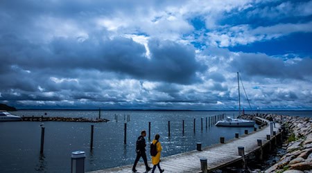 Zum Wochenende bleibt es im Norden bewölkt: Der Deutsche Wetterdienst kündigt für den Freitag flächendeckenden Regen an. (Symbolbild) / Foto: Jens Büttner/dpa