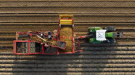 In den nächsten Wochen sind viele landwirtschaftliche Fahrzeuge unterwegs auf den Straßen. (Symbolbild) / Foto: Philipp Schulze/dpa