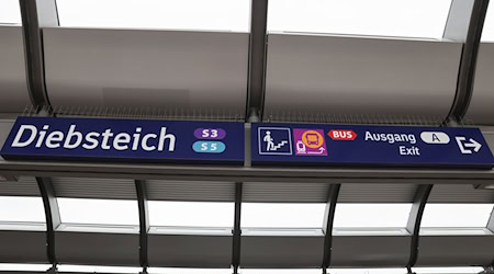 In der Hamburger S-Bahn ist ein Ehepaar von zwei Männern attackiert worden. (Archivbild) / Foto: Christian Charisius/dpa