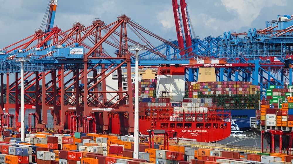 Deutschlands Seehäfen benötigen nach Ansicht des Zentralverbands der deutschen Seehafenbetriebe (ZDS) und des Deutschen Gewerkschaftsbundes (DGB) pro Jahr 500 Millionen Euro vom Bund. (Archivbild) / Foto: Christian Charisius/dpa