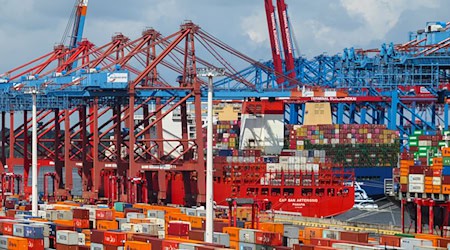 Deutschlands Seehäfen benötigen nach Ansicht des Zentralverbands der deutschen Seehafenbetriebe (ZDS) und des Deutschen Gewerkschaftsbundes (DGB) pro Jahr 500 Millionen Euro vom Bund. (Archivbild) / Foto: Christian Charisius/dpa