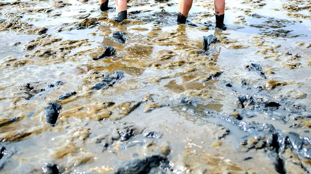 Einsatzkräfte müssen immer wieder Menschen in Notlagen aus dem Watt retten. (Symbolbild) / Foto: Hauke-Christian Dittrich/dpa