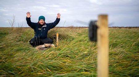 Benedikt Wiggering testet eine Wildtierkamera, die andere Tiere an einem toten, ausgelegten Reh in den Salzwiesen dokumentieren soll. / Foto: Sina Schuldt/dpa