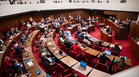 Drei Abgeordnete wollen künftig eng zusammenarbeiten und schließen sich zusammen. (Archivbild) / Foto: Sina Schuldt/dpa