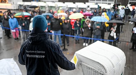 41 gebrauchte Strandmöbel und zehn Hundestrandkörbe kamen nun bei der Auktion unter den Hammer.  / Foto: Lars Penning/dpa
