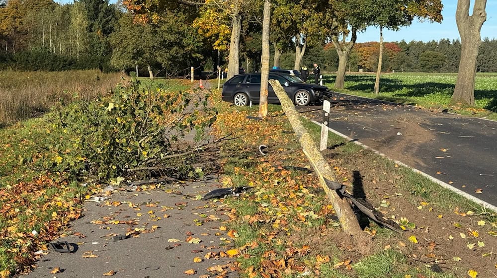 Ein 32-Jähriger ist mit seinem Auto gegen drei Bäume gekracht und lebensgefährlich verletzt worden. / Foto: Matthias Brüning/dpa