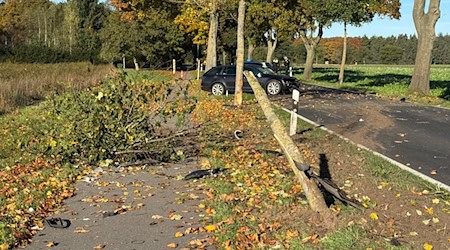 Ein 32-Jähriger ist mit seinem Auto gegen drei Bäume gekracht und lebensgefährlich verletzt worden. / Foto: Matthias Brüning/dpa
