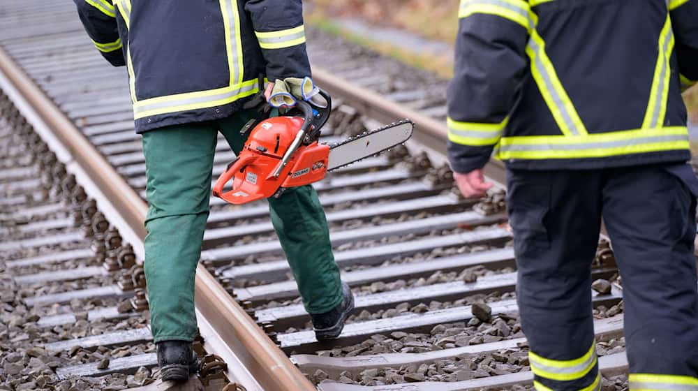 Ein umgestürzter Baum sorgt für Behinderungen auf der Bahnstrecke Norddeich Mole-Hannover. (Symbolbild) / Foto: Jonas Walzberg/dpa Ein umgestürzter Baum sorgt für Behinderungen auf der Bahnstrecke Norddeich Mole-Hannover. (Symbolbild) / Foto: Jonas Walzberg/dpa