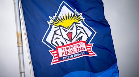 Die Fischtown Pinguins haben ihr letztes Gruppenspiel in der Champions League verloren / Foto: Sina Schuldt/dpa