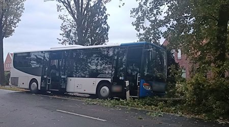 Ein elf Jahre altes Mädchen starb, als sie mit ihrem Fahrrad auf die Straße fuhr und von einem Bus erfasst wurde. / Foto: NWM-TV/dpa