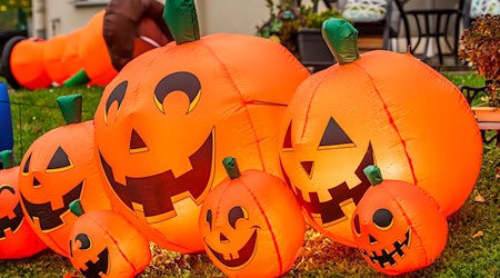 Halloween ist für den Handel zu einem relevanten Umsatzfaktor geworden. (Symbolbild) / Foto: Andreas Arnold/dpa Halloween ist für den Handel zu einem relevanten Umsatzfaktor geworden. (Symbolbild) / Foto: Andreas Arnold/dpa