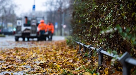 In der kommenden Woche soll es laut DWD mehrere regnerische Herbsttage geben. (Symbolbild) / Foto: Alicia Windzio/dpa