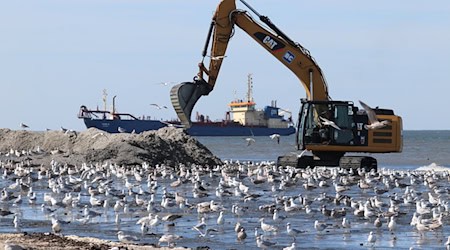 Um den Westen der Insel Norderney zu schützen, wurden zuletzt tausende Kubikmeter Sand aufgespült.  / Foto: Volker Bartels/dpa