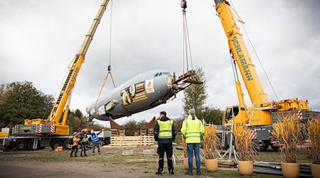 Der Rumpf des ausgedienten Bundeswehr-Airbus A310 «Kurt Schumacher» wurde im Serengeti-Park Hodenhagen mit zwei Kränen in Position gebracht. / Foto: Moritz Frankenberg/dpa Der Rumpf des ausgedienten Bundeswehr-Airbus A310 «Kurt Schumacher» wurde im Serengeti-Park Hodenhagen mit zwei Kränen in Position gebracht. / Foto: Moritz Frankenberg/dpa