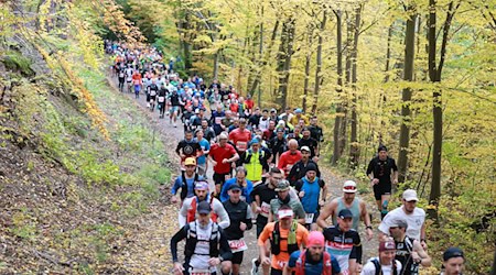 So viele Läuferinnen und Läufer wie seit acht Jahren nicht mehr hatten sich beim 47. Harz-Gebirgslauf angemeldet. / Foto: Matthias Bein/dpa