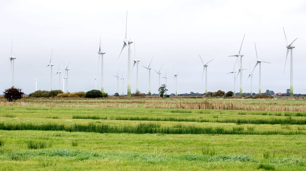 In Niedersachsen drehen sich immer mehr Windräder. (Archivbild) / Foto: Hauke-Christian Dittrich/dpa In Niedersachsen drehen sich immer mehr Windräder. (Archivbild) / Foto: Hauke-Christian Dittrich/dpa